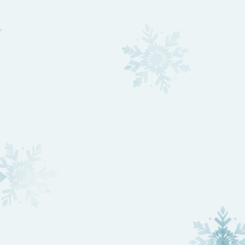 Fitness College - Snowflakes Hoodie - Fitness College